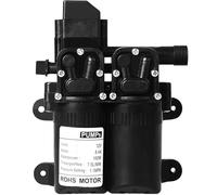 Pompe à eau électrique double à membrane, 12 V CC, 100 W, 160 PSI, 7,5 L/min, avec interrupteur de débit automatique et pulvérisateur haute pression.