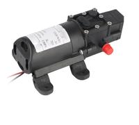 Pompe à Eau électrique DP-537 5,5 l/Min, pulvérisateur à Membrane agricole, Noir, 12 V, 220 V, Micro Haute Pression