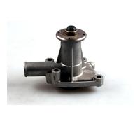 Pompe à eau HEPU P1024