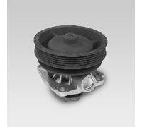 Pompe à eau HEPU P122