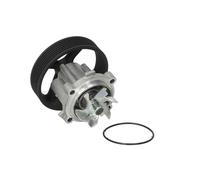 Pompe à eau HEPU P323