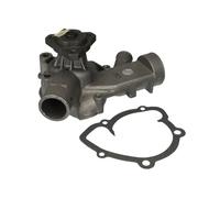 Pompe à eau HEPU P529