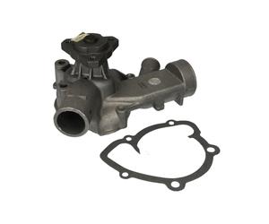 Pompe à eau HEPU P529