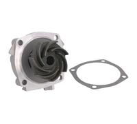 Pompe à eau HEPU P620