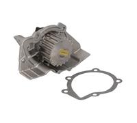 Pompe à eau HEPU P889