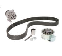Ina Kit de distribution avec pompe à eau 530 0091 30