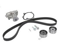 Kit distribution + pompe à eau INA 530 0338 30