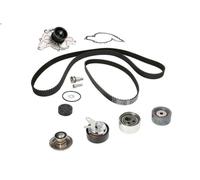 Pompe à eau + kit de courroie crantée INA 530 0416 31 pour A4 B5 2.5 1997-2