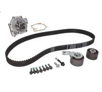 Pompe à eau + kit de courroie crantée INA 530 0582 30 pour C30 (533) 2 2010-