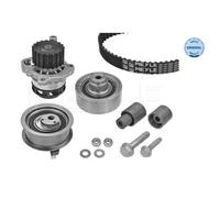 Pompe À Eau + Kit De Courroie Crantée Meyle 1510499011 pour Audi Seat Skoda VW