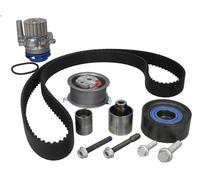 Pompe à eau + kit de courroie crantée SKF VKMC 01263-1 pour A3 (8P1) 2 2003-