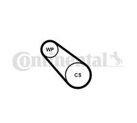 Pompe à eau+Jeu de courroie trapézoïdale à nervures CONTITECH 3PK576 ELAST WP1