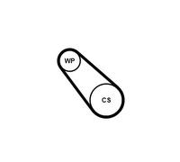 Pompe à eau + kit de courroie trapézoïdale 3PK725 ELAST WP1 CONTINENTAL CTAM