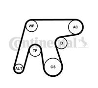 CONTITECH 6PK1642WP3 Pompe à eau + kit de courroie d'accessoire