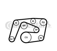 Pompe à eau + kit de courroie trapézoïdale 6PK2260WP2 CONTINENTAL CTAM