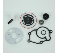 Pompe À Eau Kyoto Pour Scooter Yamaha 125 Ypr X-Max Abs 2011 À 2020 Neuf