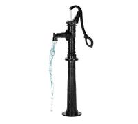 VEVOR Pompe à Eau Manuelle Puits à Bras Fonte Vintage avec Base Rehaussée Noir