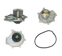 Saleri SIL PA1053 Pompe à eau