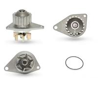 Ruville Pompe à eau PA1234 refroidissement du moteur pour CITROËN, FIAT, PEUGEOT