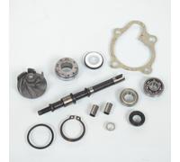 Pompe À Eau P2r (Motorisé) Pour Scooter Kymco 125 Grand Dink 2001 À 2020 Neuf