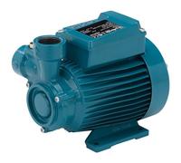 Pompe à Eau Peripherique CALPEDA CT61m 0,33kW 0,45Hp Monophasé 230V CTM