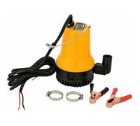 Pompe à eau pompe vide cave DC 12V 50W 4200L/H, immergée pour puit, piscine, submersible pour cave, étang, câble 2.3M