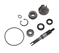 Pompe À Eau Pour Scooter Honda 150 Silver Wing 2007 - 2012 Neuf