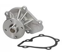 JAPANPARTS PQ-189 Pompe à eau Compatible avec NISSAN TERRANO II R20 PICK UP D21 PICK UP D22