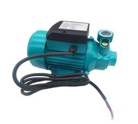 Pompe À Eau Propre À Batterie Auto-amorçante À Pompage Centrifuge À Haute Pression Solaire 12 V/24/48 V CC(24V)