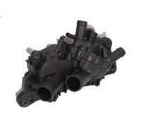 Pompe à eau, refroidissement du moteur INA 538 0363 10 pour LEON (5F1) 1 2015-