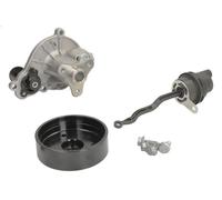 Pompe à eau, refroidissement du moteur INA 538 1005 10 BMW 1 (F21) 2 2015-2019