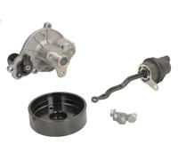 Pompe à eau, refroidissement du moteur INA 538 1005 10 pour 1 (F21) 2 2015-2019