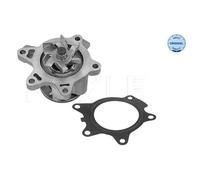 Pompe À Eau Refroidissement Du Moteur Meyle 3132200010 pour Toyota Mini