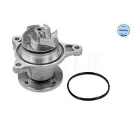Pompe À Eau Refroidissement Du Moteur Meyle 37132200014 pour Hyundai Kia