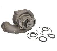 Pompe à eau, refroidissement du moteur OMP 317.310 pour FL12 12.13 1995-1998
