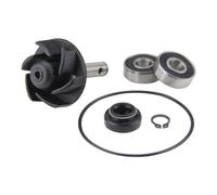 Pompe à eau Rep. kit pour Minarelli avec joint renforcé sans roue motrice