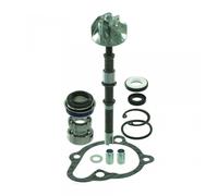 Pompe À Eau Rms Pour Scooter Malaguti 125 F18 2000 À 2002 57000001 Neuf