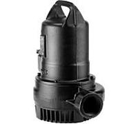 Pompe à eau sale Jung JP09245 US 251 DS, avec fiche, câble de 10 m