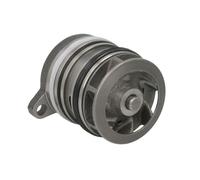 Pompe à eau Schaeffler INA 538 0338 10
