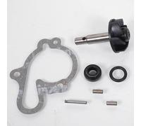 Pompe à eau Sifam compatible avec Moto Rieju 50 Mrt Pro 2009 à 2020