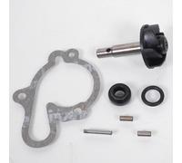Pompe À Eau Sifam Pour Moto Aprilia 50 Rs 1993 À 2005 Neuf