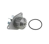 Pompe à eau TEKNÖR CPW-CT-027