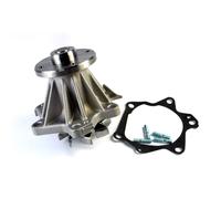 THERMOTEC D11025TT Pompe à eau