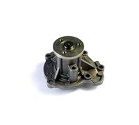 Pompe à eau THERMOTEC D11071TT