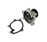 THERMOTEC D12074TT Pompe à eau