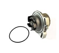Pompe à eau THERMOTEC D1A010TT