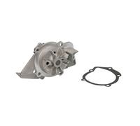 Pompe à eau THERMOTEC D1C020TT