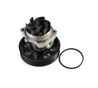 THERMOTEC D1F074TT Pompe à eau