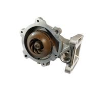 Pompe à eau THERMOTEC D1G055TT