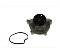 Pompe à eau THERMOTEC D1M045TT